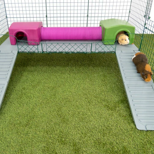 Zippi Rabbit Shelter With Play Tunnel - Purple 5 Zippi Rabbit Shelter With Play Tunnel - Purple - Image 3